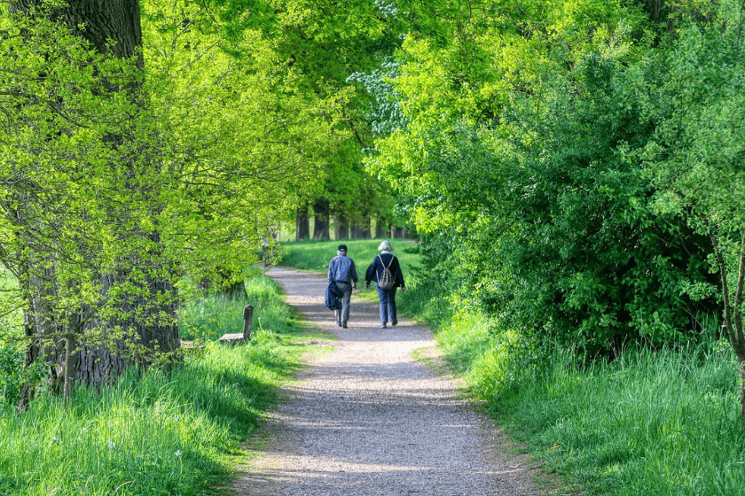 pension-schemes-old-5147444_1280 A pair of older people walk down a tree-lined path