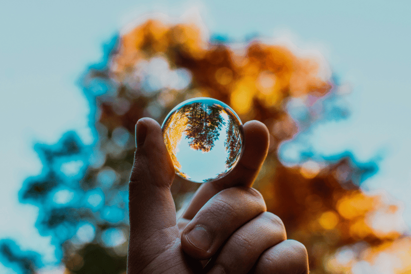 unmsmes-day-nagy-arnold-jFEH9GjZpZ4-unsplash A tree reflected through a clear ball held by a person
